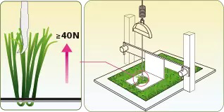 Команда НИОКР