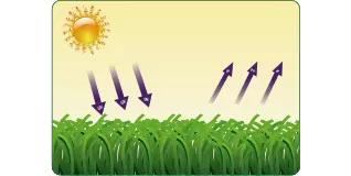 Команда НИОКР