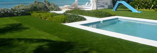 Коммерческий газон