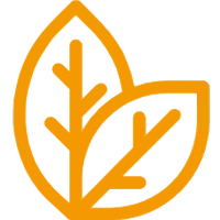 Социальная Ответственность