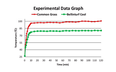 Искусственный Газон «Прохладный»