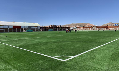 Искусственный Газон «GRE»