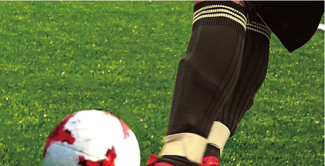 Искусственный Газон «Bellin HERO»