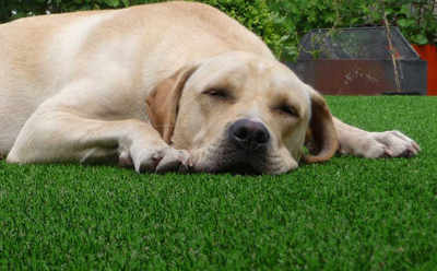 Искусственный Газон «Прохладный»