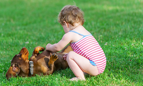 Искуственный газон «Bellin-Smart»