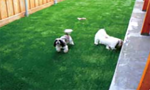 Искуственный газон «Bellin-Smart»